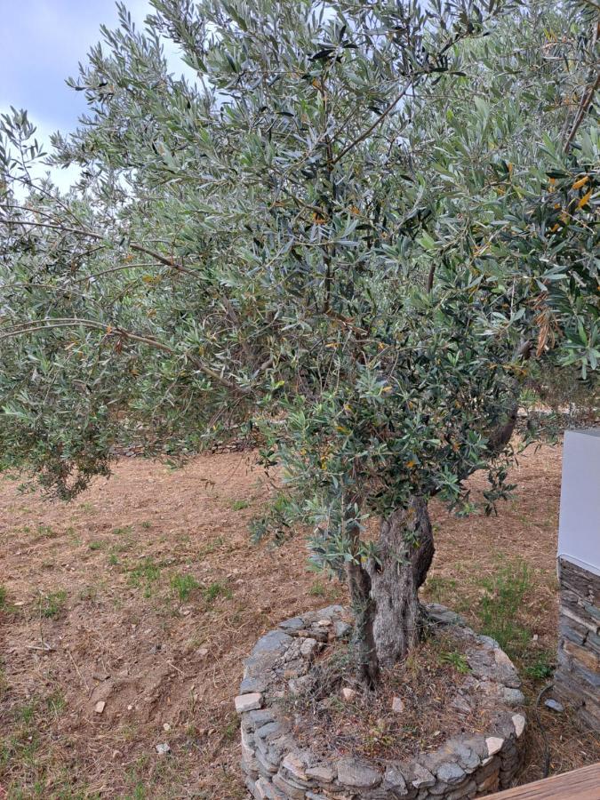 Madilides Διαμέρισμα Platis Gialos  Εξωτερικό φωτογραφία